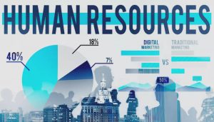 Sistem HRIS: Pahami Lebih Dalam Fitur dan Manfaatnya